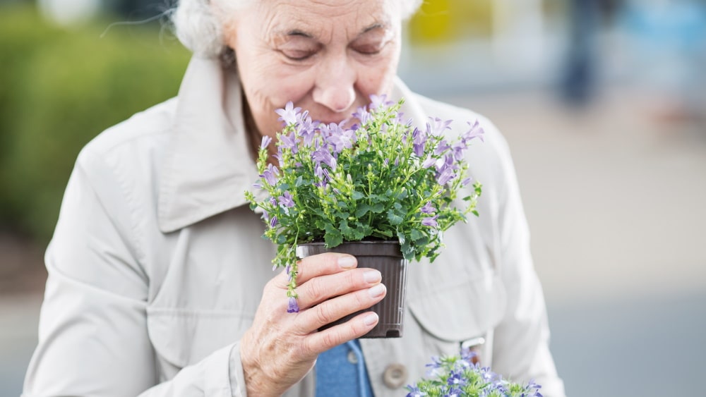 anziana donna odore di pianta fiorita