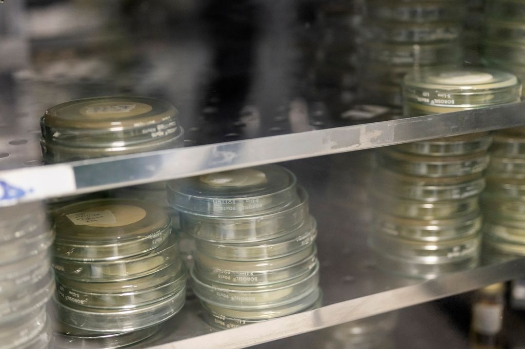 Il controllo della qualità dei colliri è molto importante per escludere i prodotti difettosi.